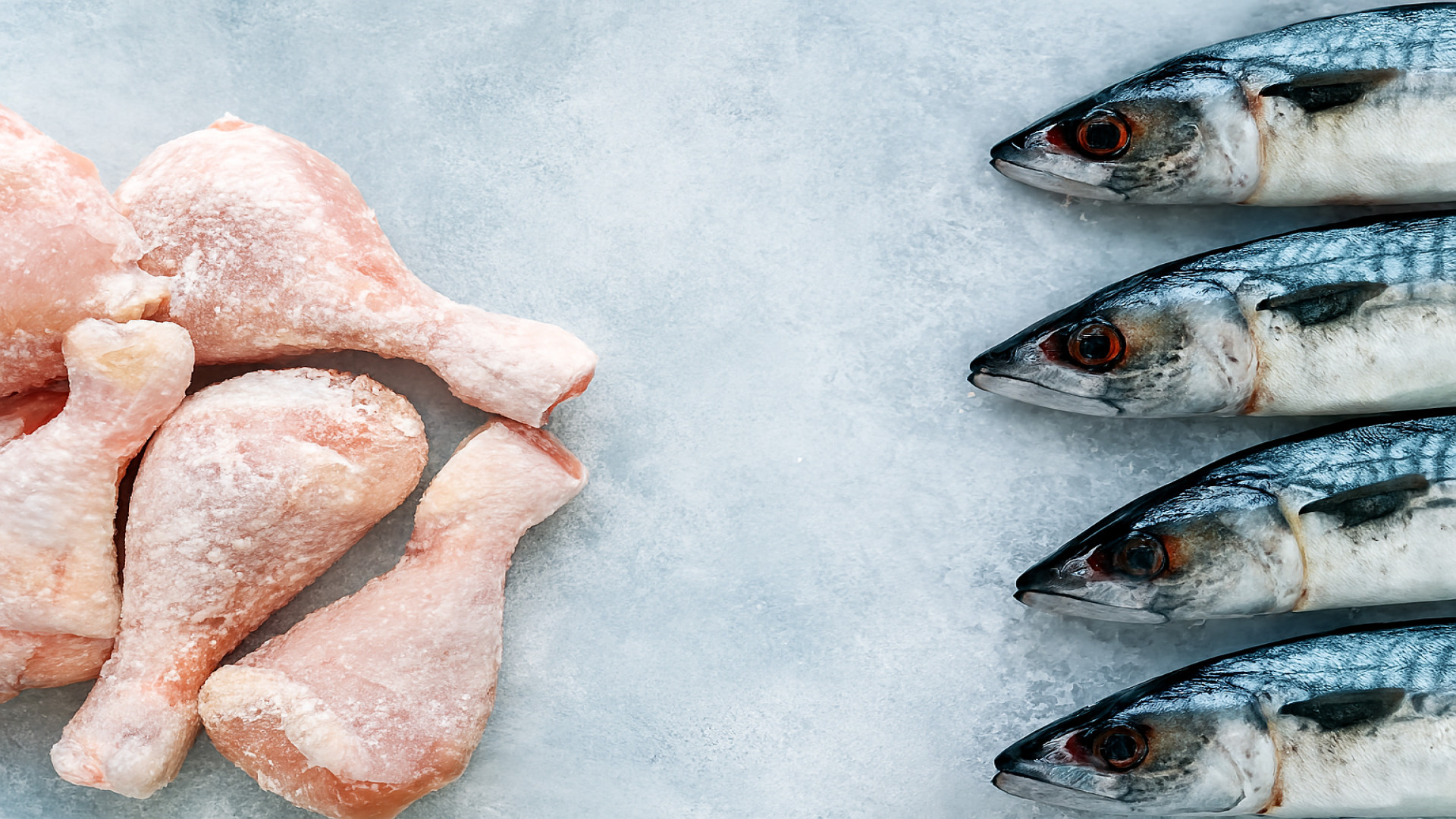 Premium Frozen Food Import Solutions