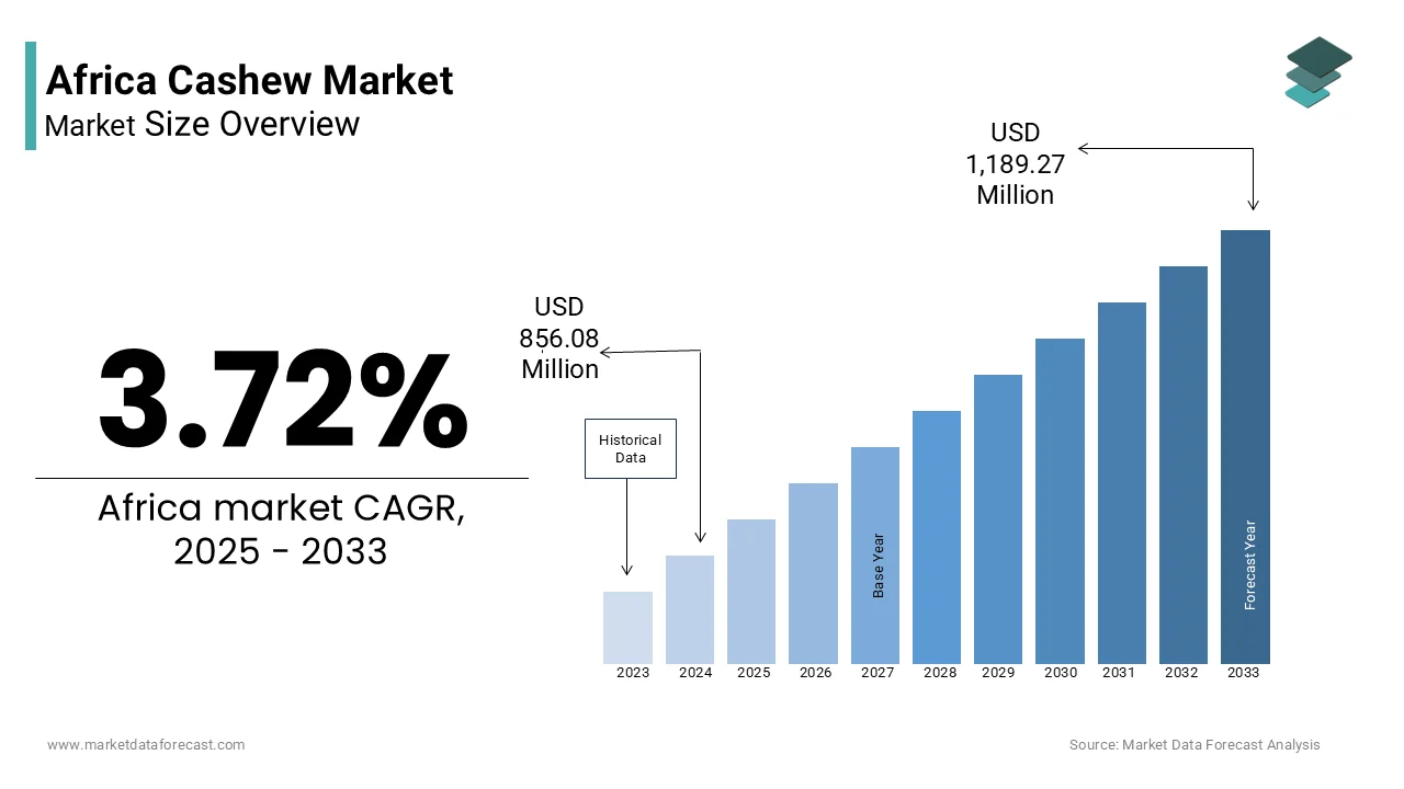 Cashew Market Analysis: Q4 2024 Outlook